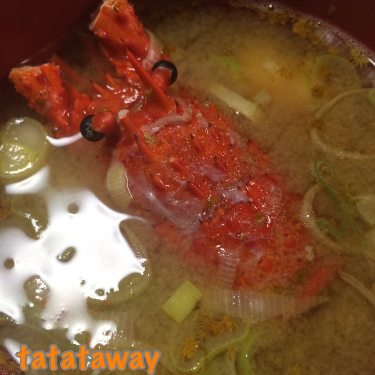 出汁がすごい 伊勢海老のお味噌汁 レシピ 作り方 By Tatataway 楽天レシピ 出汁がすごい 伊勢海老のお味噌汁 レシピ 作り方 By Tatataway 楽天レシピ